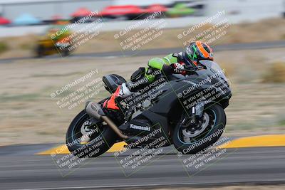 media/Jan-14-2023-SoCal Trackdays (Sat) [[497694156f]]/Turn 4 Set 2 (1030am)/